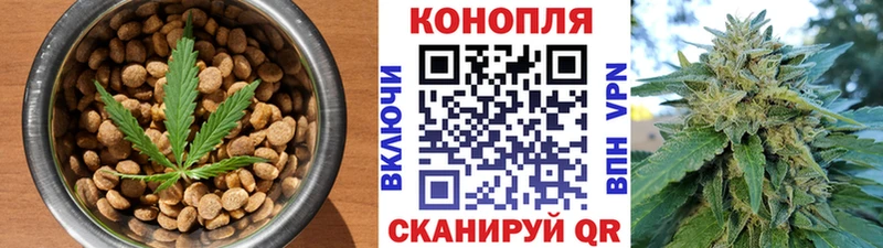 Печенье с ТГК марихуана  Купить где  Болотное 