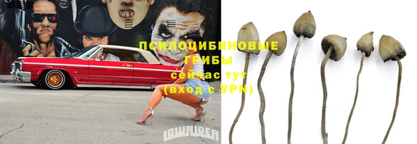 jwh Богородицк