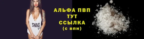 jwh Богородицк