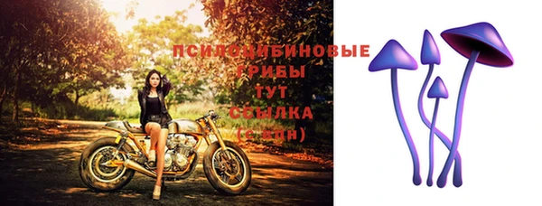 а пвп мука Богородск